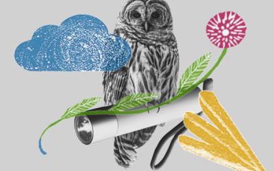 AI for Teaching Innovation – a new model