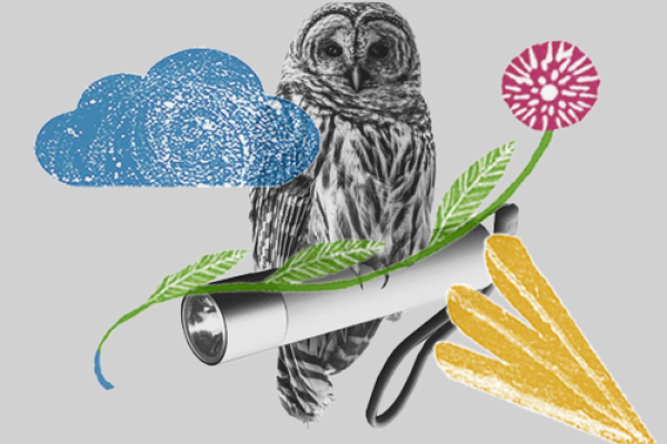 AI for Teaching Innovation – a new model